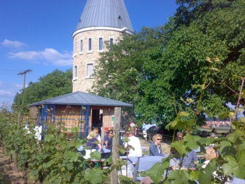 Wanderlust Hostel Floersheim am Main Экстерьер фото